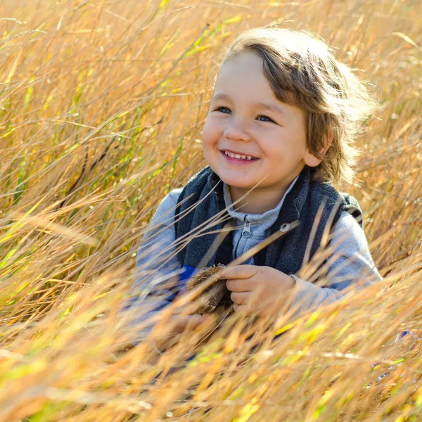 Niño Sentado Campo Otoño —  Fotos de Stock