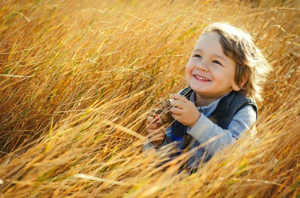 Маленький Мальчик Сидит Осеннем Поле — стоковое фото