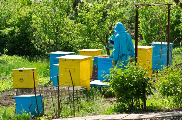 Beekeepers — Stock fotografie