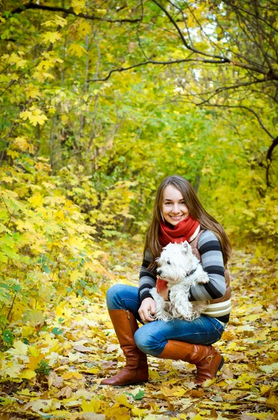 Vrouw met Terriër — Stockfoto