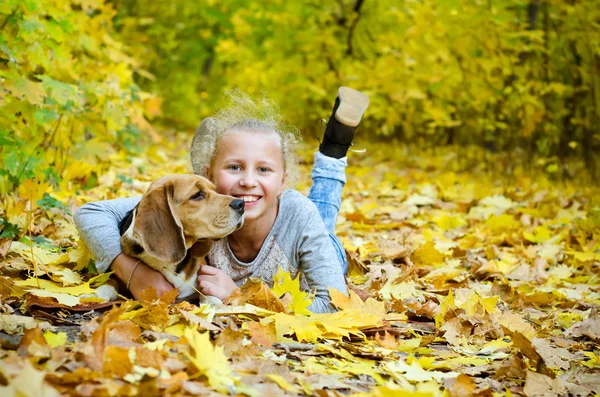 Girl with beagle — Stock Photo, Image