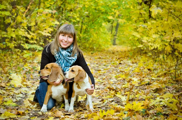 Kobieta z dwoma Beagle — Zdjęcie stockowe