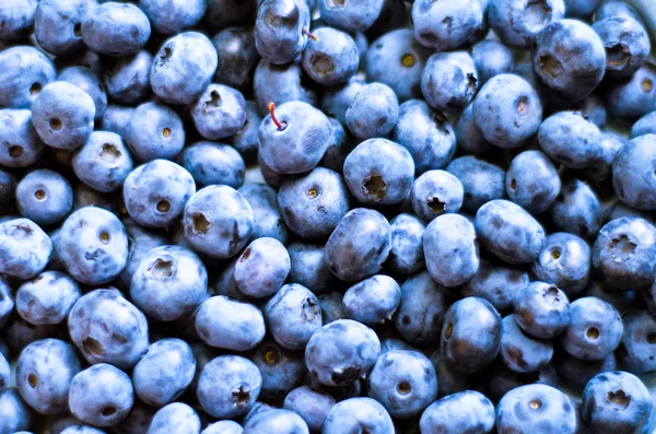 Blueberry — Stock Photo, Image