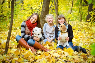 Arkadaş grubu köpekler