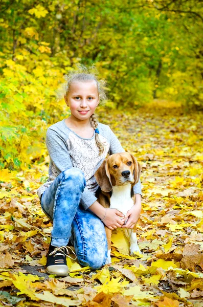 Menina com beagle — Fotografia de Stock