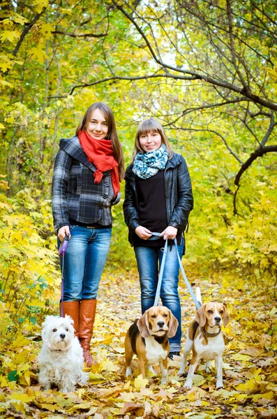 Women with dogs — Stock Photo, Image