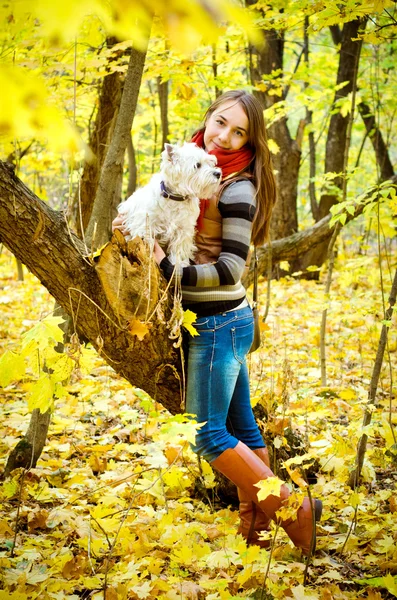 Vrouw met Terriër — Stockfoto