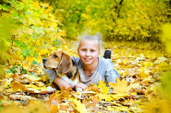 Girl with beagle — Stock Photo, Image