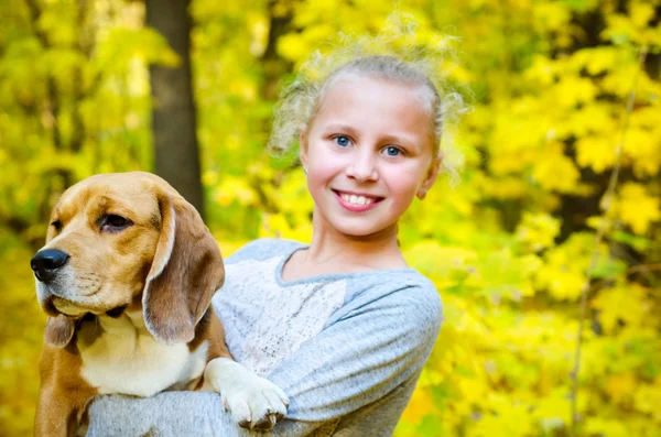 Girl with beagle — Stock Photo, Image