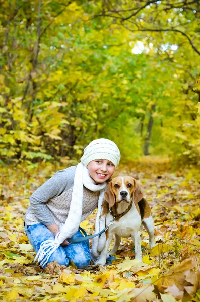 ビーグル犬と少女 — ストック写真