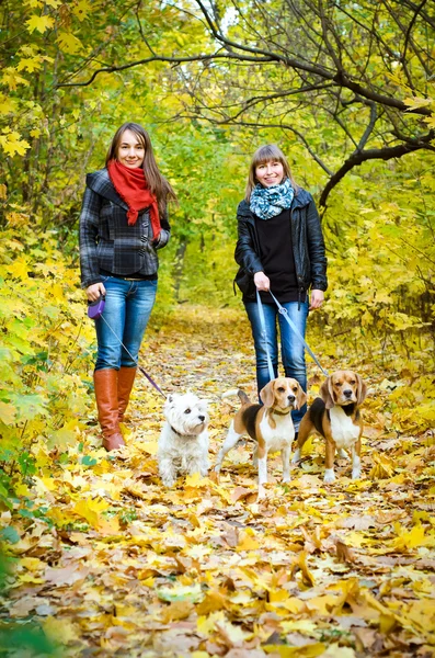 Vrouwen met honden — Stockfoto