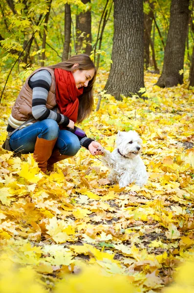 Vrouw met Terriër — Stockfoto