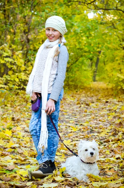 Menina com terrier — Fotografia de Stock