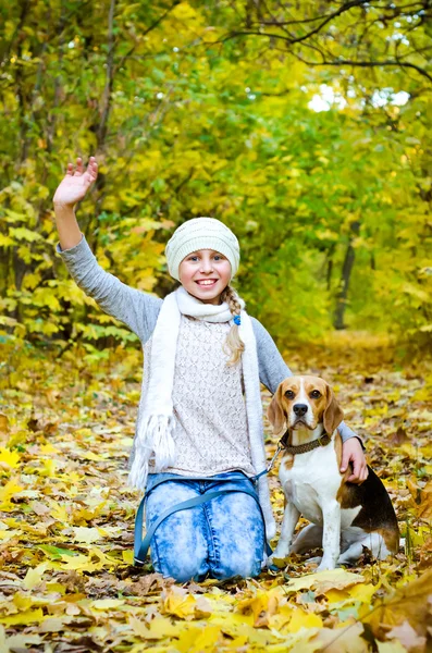 Girl with beagle — Stock Photo, Image