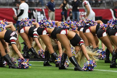Arizona Cardinals Amigo Kızlar normal bir sezon maçında gösteri yapıyor..