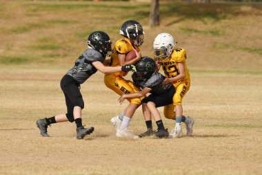Çocuklar yerel bir ligde Pop Warner oynuyor ve bir futbol koçunun rehberliğinde yetenekleri öğrenip oynuyorlar..