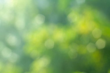 Yeşil ile doğanın soyut bulanıklığı