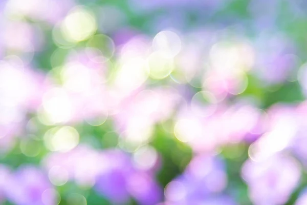 Flou Abstrait Nature Avec Vert Violet — Photo