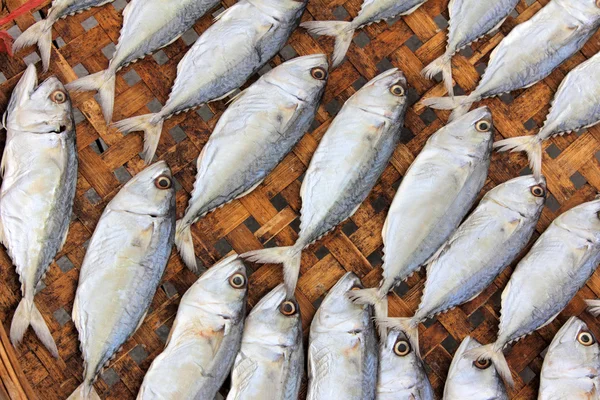 Ikan kering close-up — Stok Foto