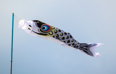 Japon koi sazan Rüzgar bayrağı çorap