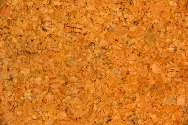 mantar pano arka plan 