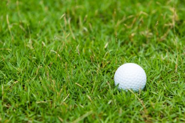 Yeşil çimlerin üzerinde golf topu