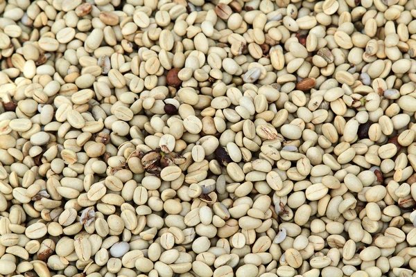 Kahve çekirdeği