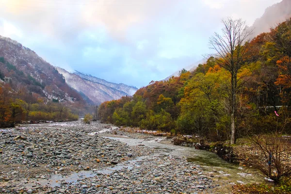 Landscape autumn season — Stock Photo, Image