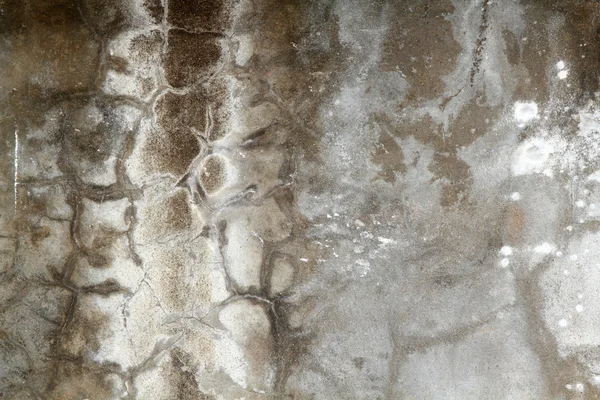 Vieux mur en béton — Photo