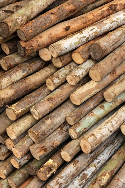 Dry firewood — Stock Photo, Image