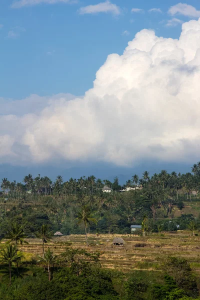 Field at mountain slope — Stock Photo, Image