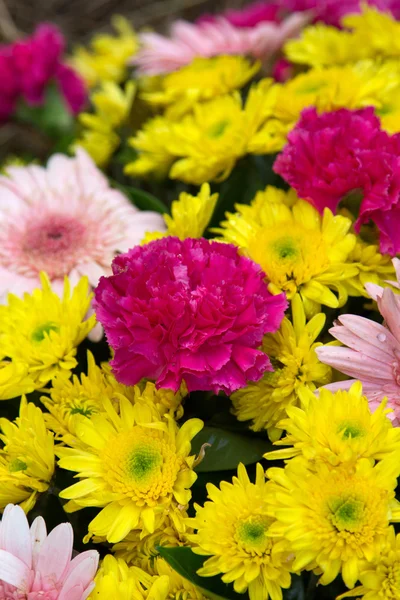 Flores mezcladas — Foto de Stock