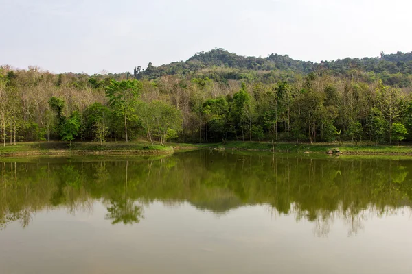 Lake Forest — Stok fotoğraf