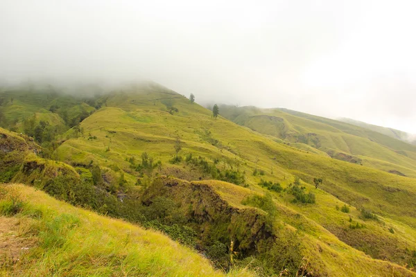 Paesaggio sulla montagna — Foto Stock