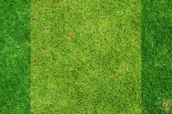 Verse groene gras bovenaanzicht — Stockfoto