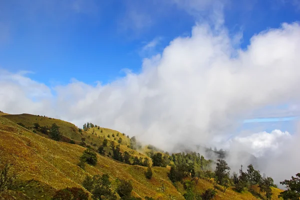 Paisagem na montanha — Fotografia de Stock