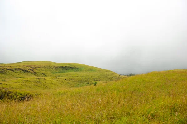 Landschaft am Berg — Stockfoto