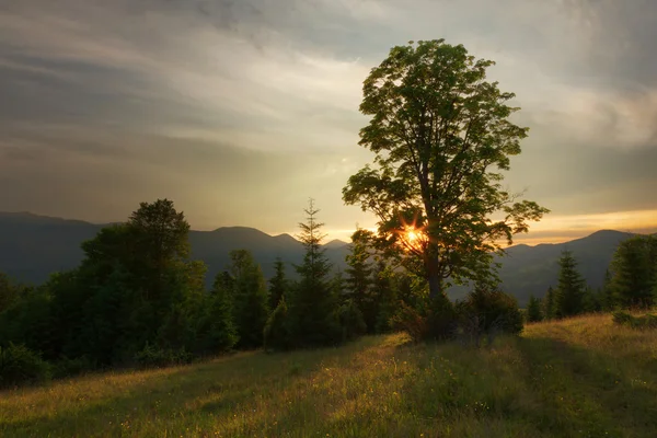 Farbenfroher Sommersonnenuntergang. Karpaten, Ukraine. — Stockfoto