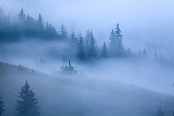 Утренний туман в горах . — стоковое фото
