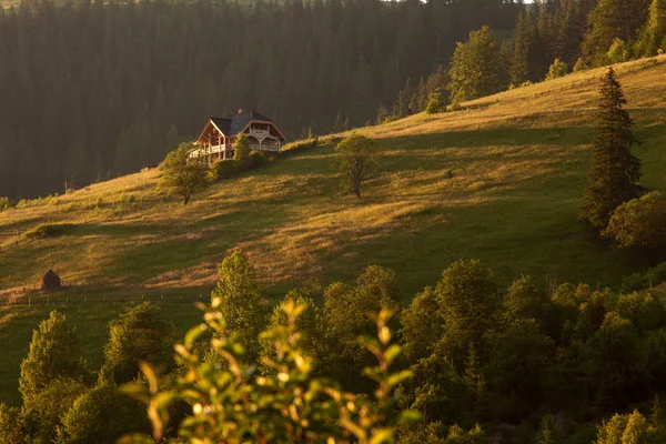 Kleurrijke zomer zonsondergang. — Stockfoto