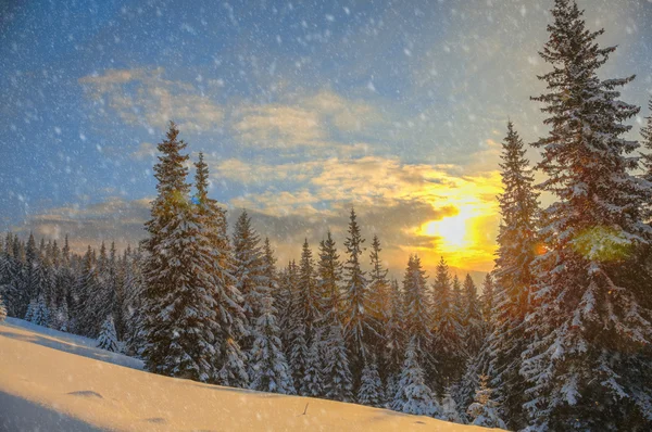 Χειμερινό τοπίο σε ένα ηλιοβασίλεμα. — Φωτογραφία Αρχείου