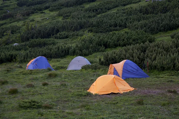 Barevné stany camping. — Stock fotografie