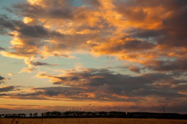 buğday alan günbatımı