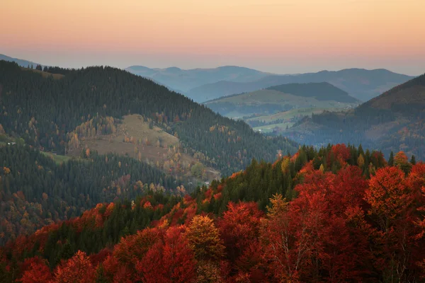 Herbstfarben. Bergwald — Stockfoto