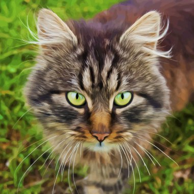 Cute cat vector Cute cat vector
