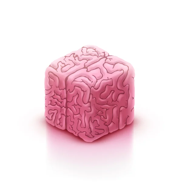 Cube style human brain — Stock Vector