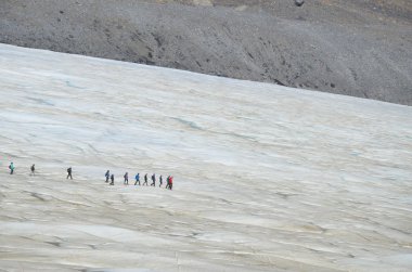 ATHABASCA GLACIER, ALBERTA