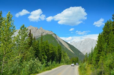 Columbia Icefield Parkway, Canada