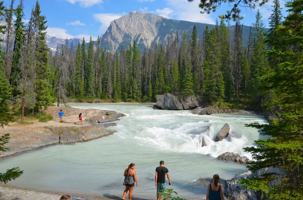 NATURAL BRIDGE, ALBERTA — Stock fotografie