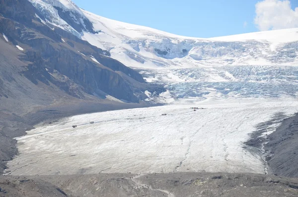 Athabasca Glacier adlı Icefield Parkway, Kanada Telifsiz Stok Fotoğraflar